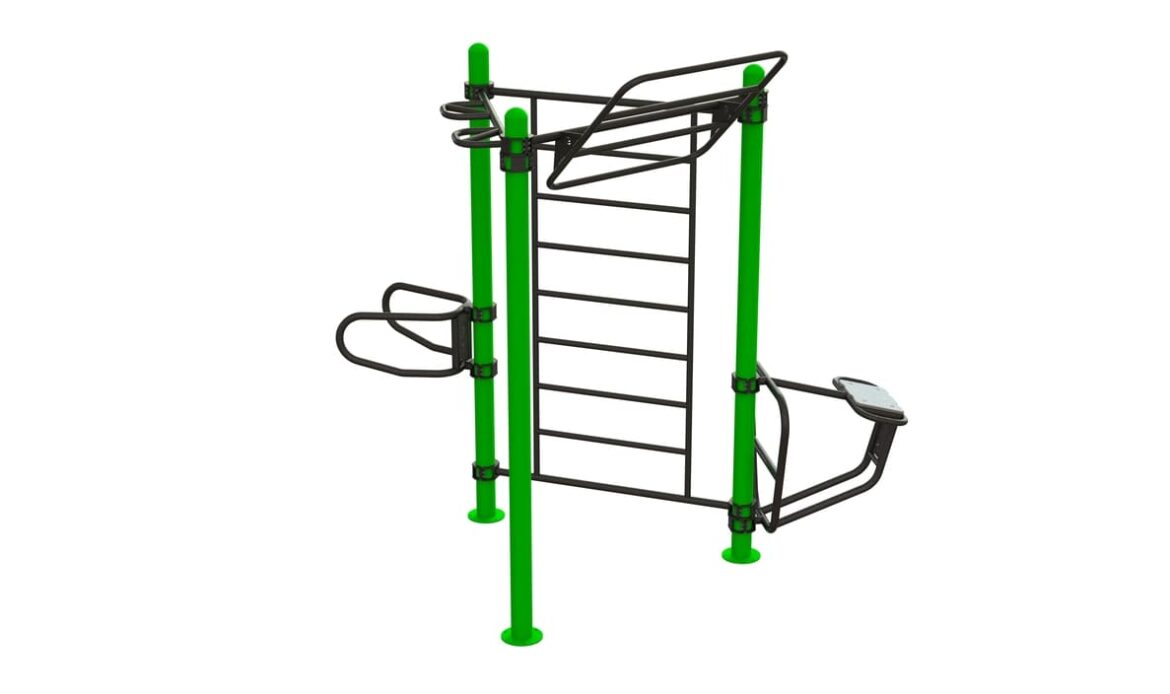 FITNESS RIG 3840-01