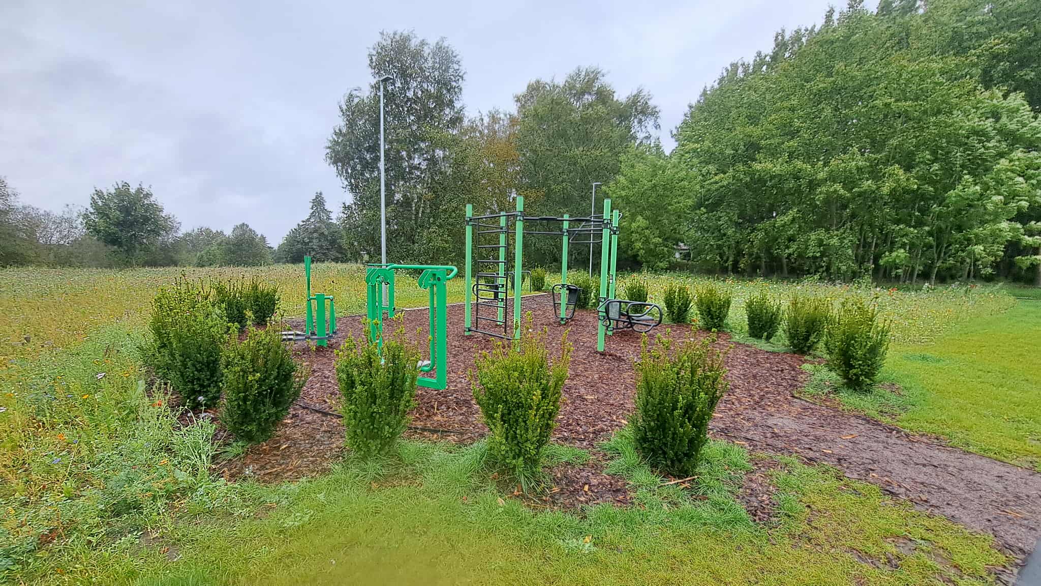 Kannikese tee FitnessRig