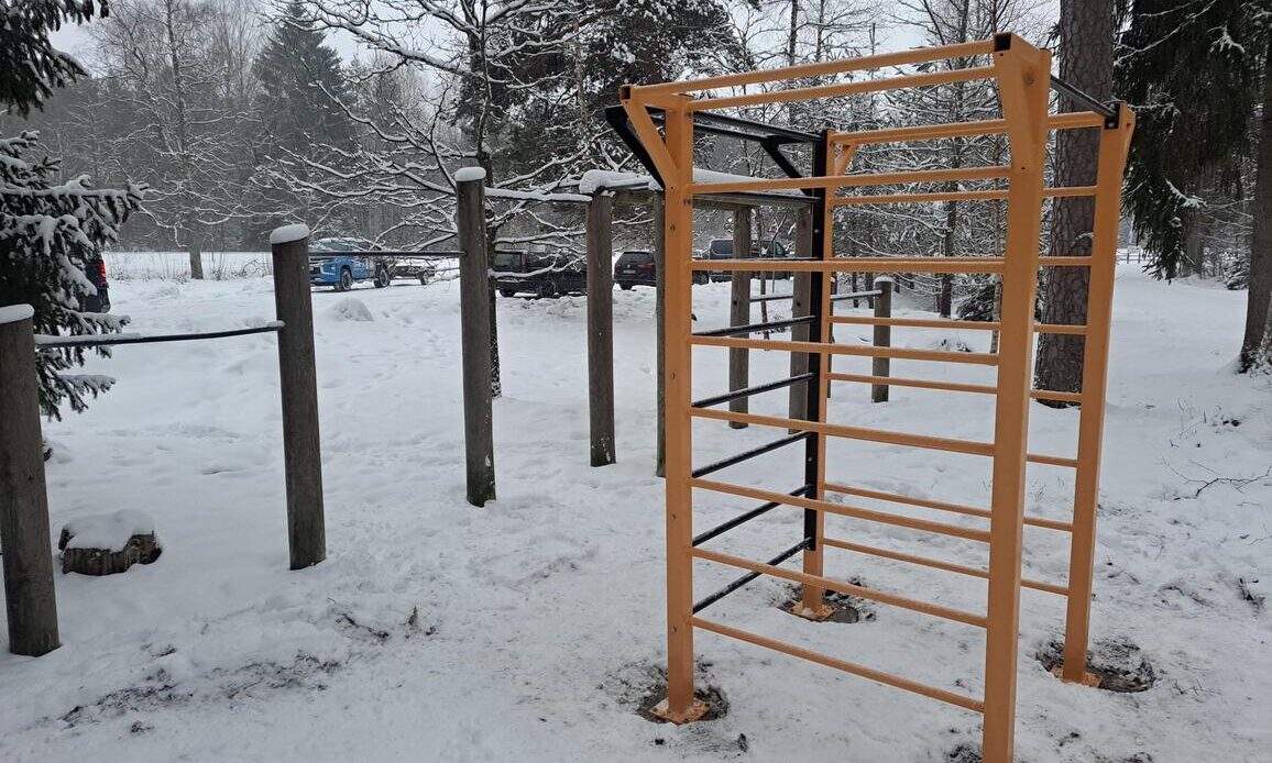 Saku terviseraja kolmikredel